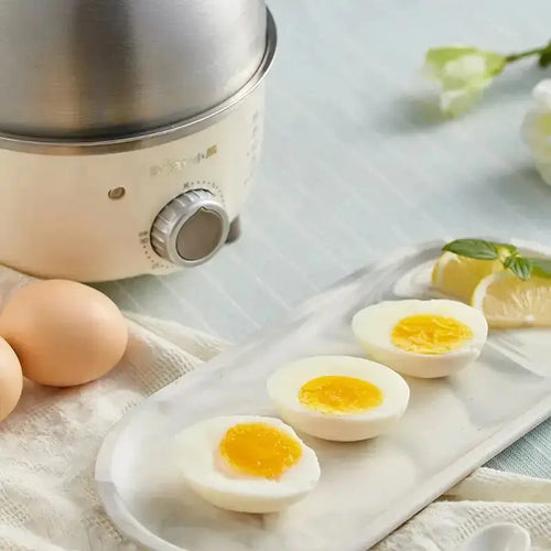 360W Electric Egg Boiler
